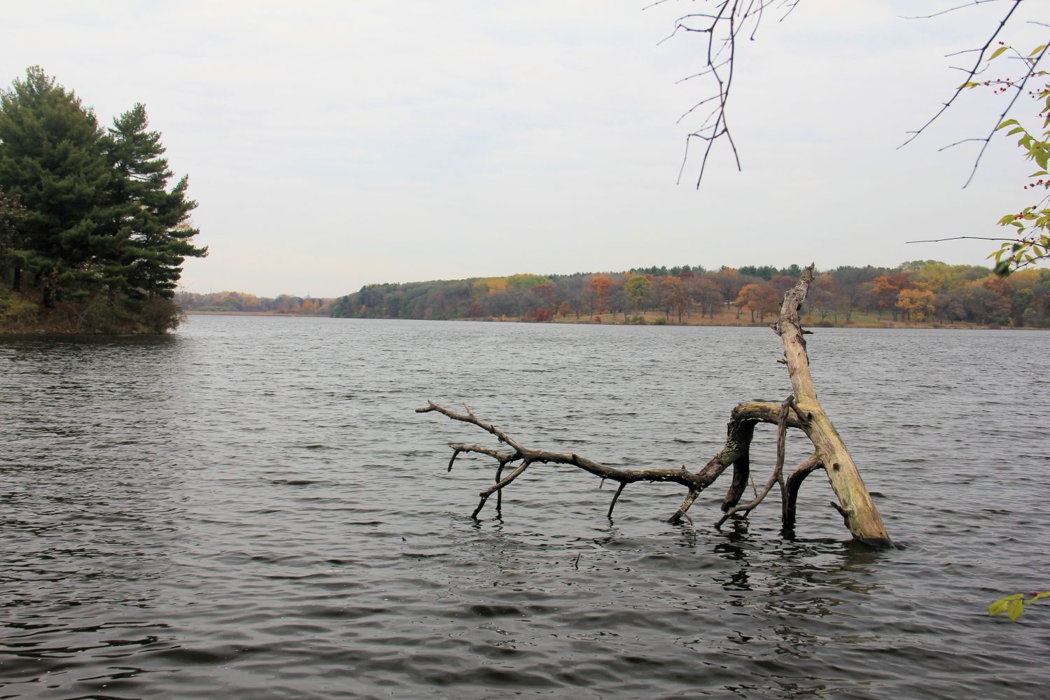 Rock Cut State Park 